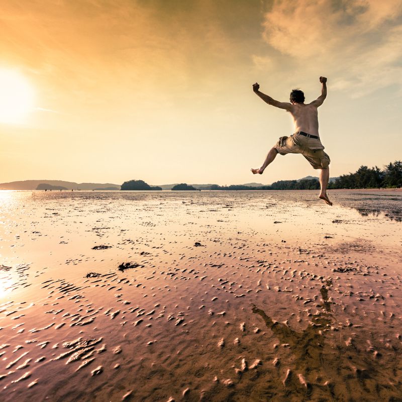 Curiosity and Happiness