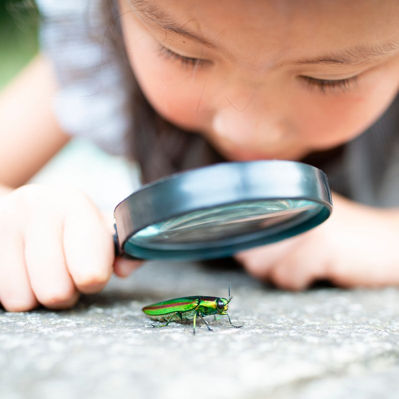 Curiosity and Happiness