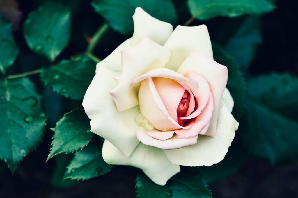 The Future That Never Arrives