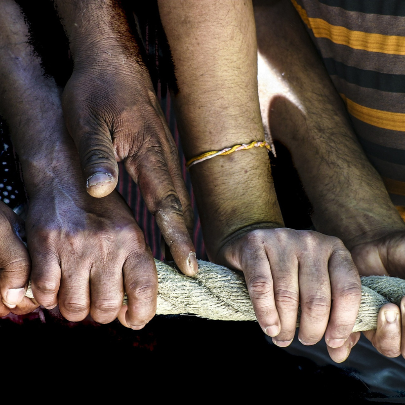 How Much Alike Are We?