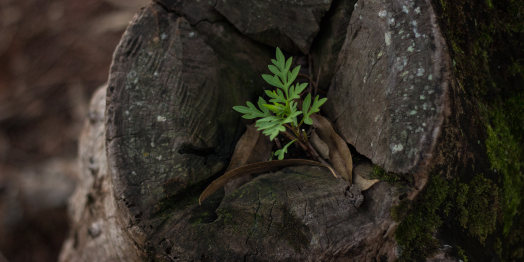 Judgment is the Tripwire