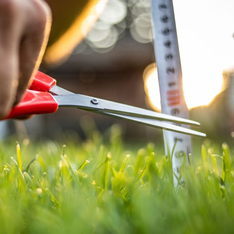 A Non-Practicing Perfectionist