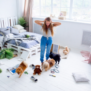 Stressed woman looking at a chaotic mess in her room with playful dogs