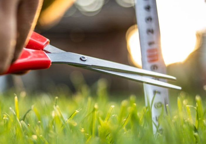 A Non-Practicing Perfectionist