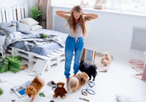 Stressed woman looking at a chaotic mess in her room with playful dogs