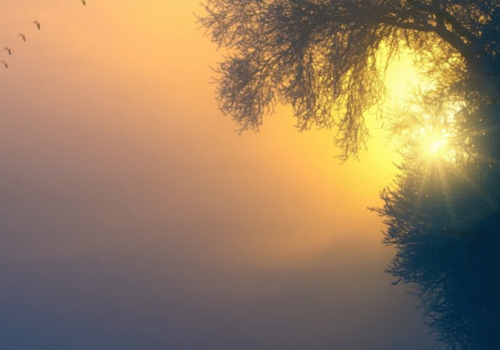 Perfectionism is a Form of Blindness