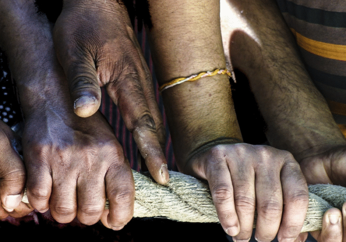 How Much Alike Are We?