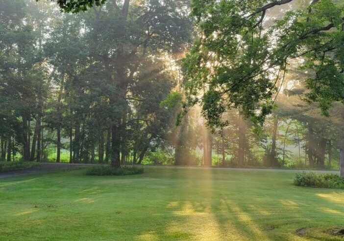 Peaceful morning light in Gary Stine’s backyard symbolizing clarity and identity after retirement.