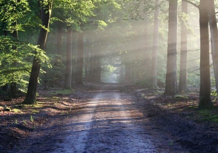 Recipe for a Perfect Day