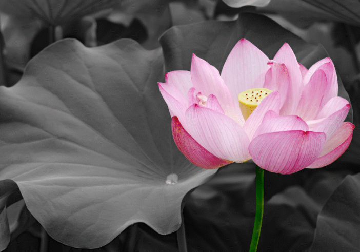 What is sacred in your life?
